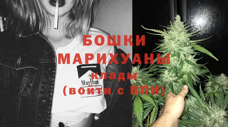 продажа наркотиков  Подпорожье  Бошки марихуана Bruce Banner 